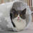 Cat Tunnel With Cat Bed For Indoor Cats, Multifunctional Cat Playground Toys Hideplace For Small Medium Large Cats