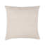 Zircon Square Pillow Cover & Insert