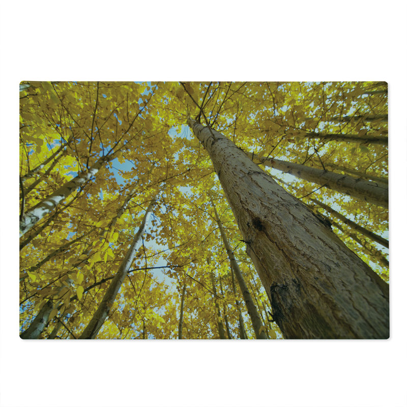 Ambesonne Scenery Cutting Board Large Size Aspen Trees in Forest Yellow