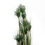 304.8cm Faux Plant in Pot Liner