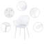 Amoure Dining Chair-1370096110