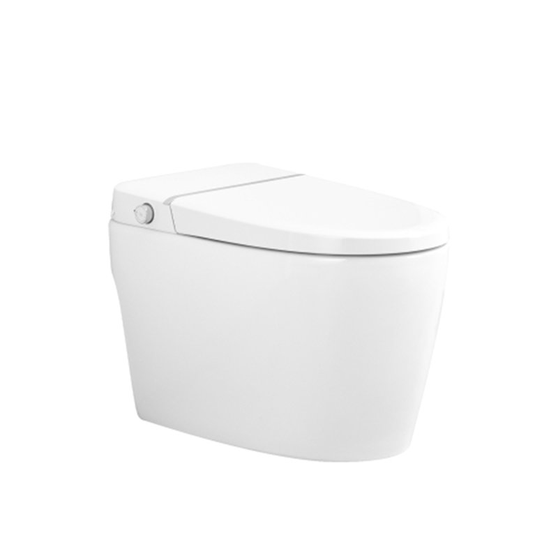 Combiné de bidet de toilette intelligent avec buse autonettoyante, siège chauffant, veilleuse, commande à bouton