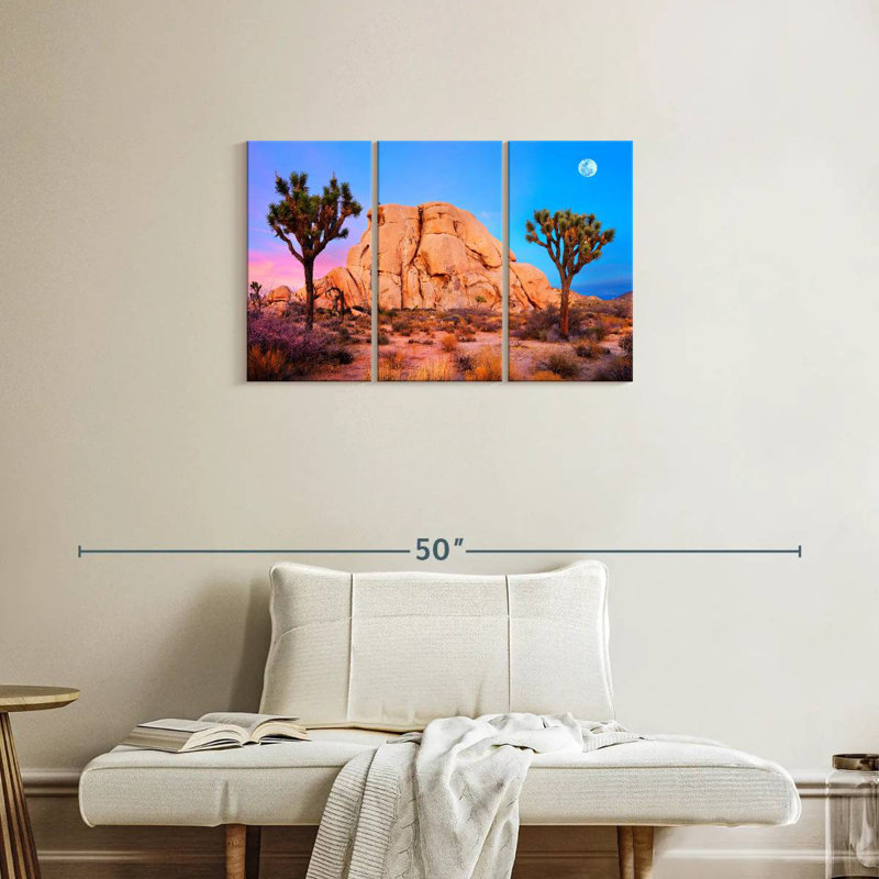 Parc national Aime Joshua Tree II, H 20 po x l 33 po