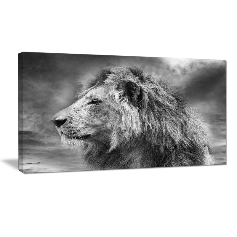Gris sauvage, lion d'Afrique - impression, H 20 po x l 20 po x P 1 po, H 36 po x l 46 po x P 1,5 po