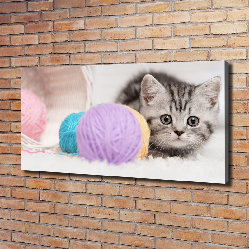 Cat With Hanks - Wrapped Canvas Print