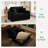 Pull-Out Sofa Bed with Chaise Lounge-1911583504