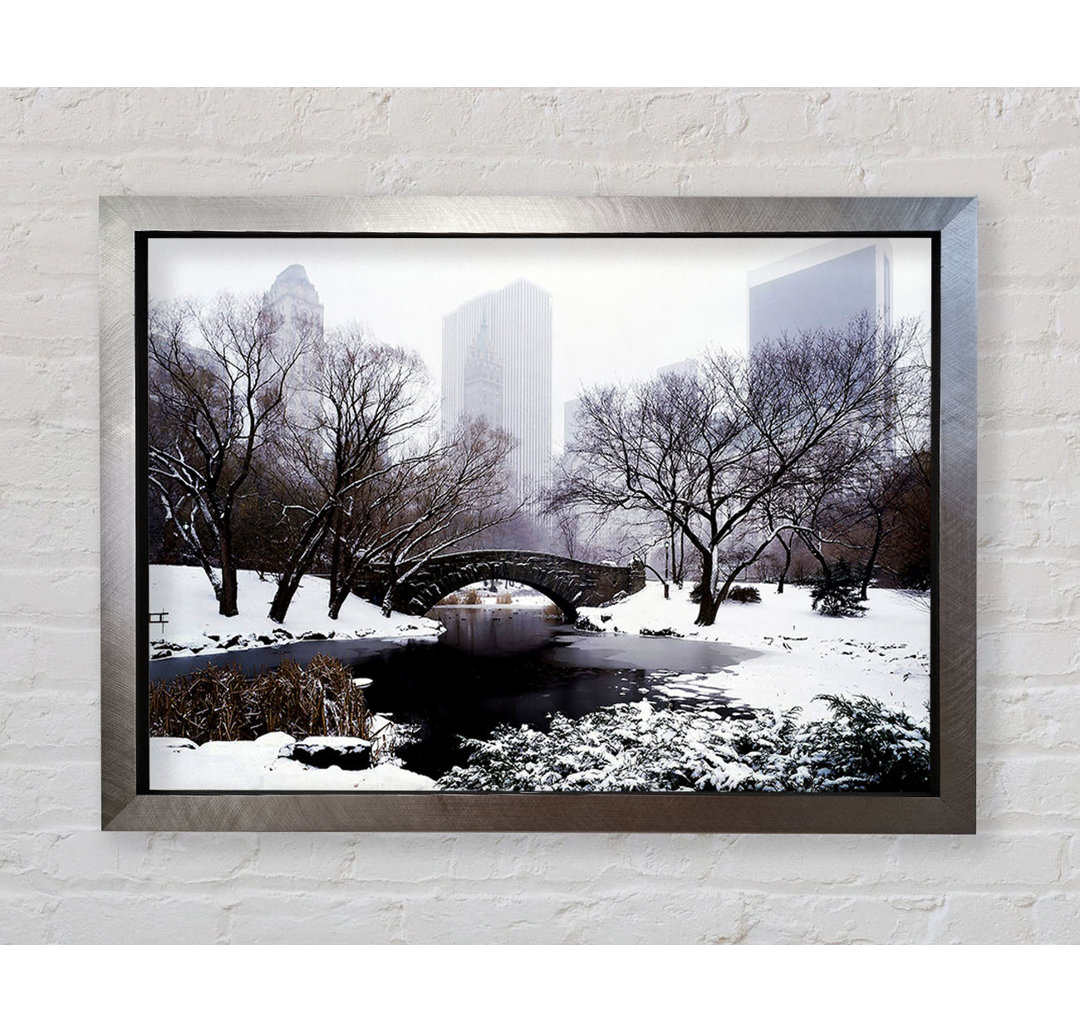 Central Park im Winter - Druck