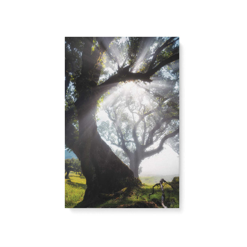 Reproduction d'art "Bend Rays" par Martin Podt, 32 W x 48 H, Does Not Apply, Unframed Canvas