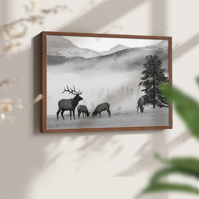 Mountain Elk -Framed Print - Restickable, Walnut, 16" H x 20" W
