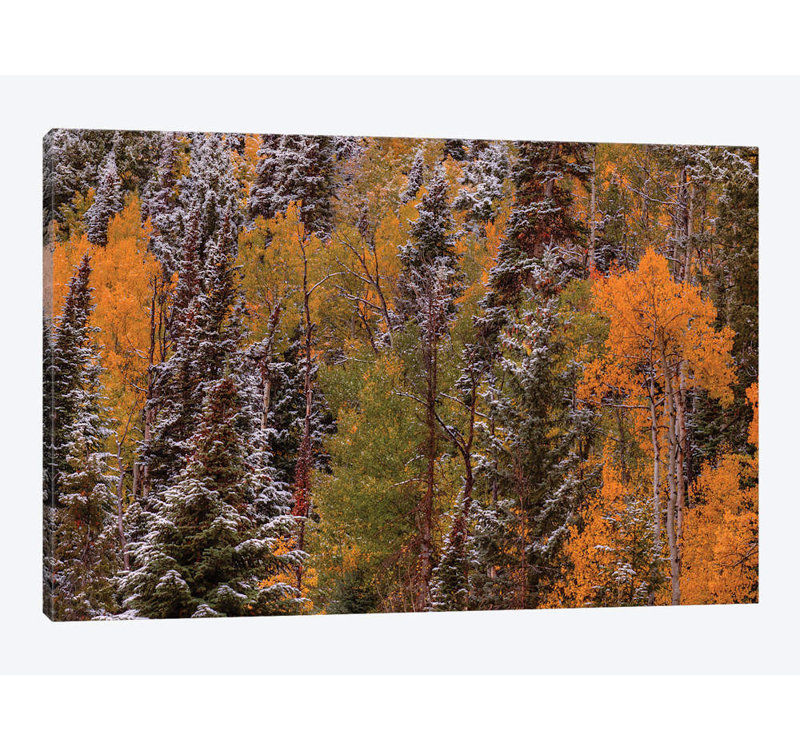 « contrasts » par bill sherrell, reproduction d’impression sur toile tendue, H 16 po x l 24 po x P 1 po, Black Framed Paper