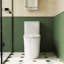 Toilette allongée en céramique une pièce à hauteur confortable, siège à fermeture douce blanc
