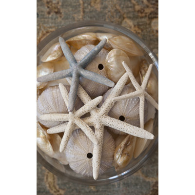 Layered Starfish Print by Barclay Butera