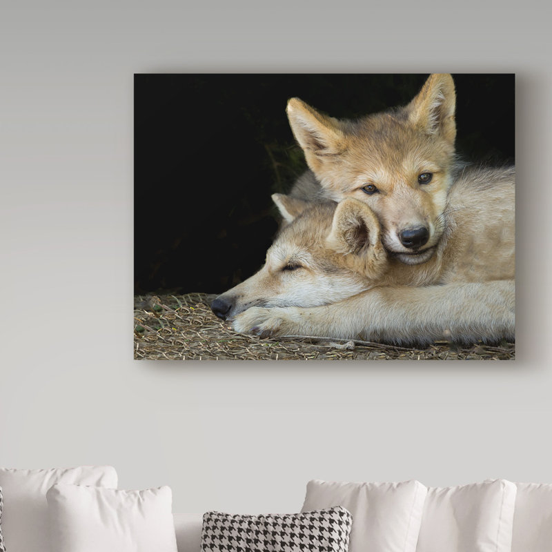 «Wolf Pup Brothers» de Fillmer, reproduction de photo sur toile tendue, H 24 po x l 32 po x P 2 po