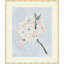 Delicate Flower Branch 2 Print-1197088530