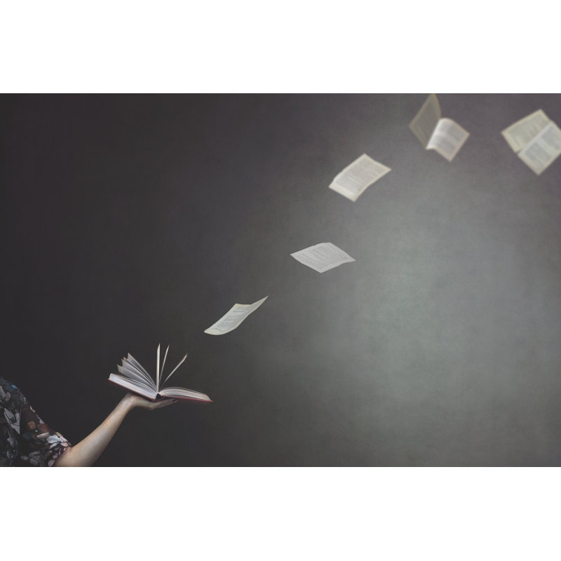 Miraldina «Flying From A Book» par Fcscafeine, H 32 po x l 48 po x P 1,25 po