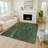 Machine Washable Indoor/Outdoor Lafferty ACN2222 Botanical Rug-495663128