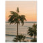 Impression de palmiers océan - impression de paysage de plage tropicale - affiche sur toile vue de palmier océan - coucher de soleil sur la côte-87055020