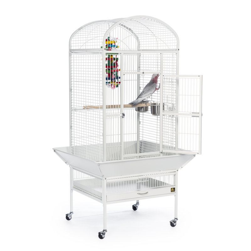 Chalk White Medium Dome Top Bird Cage with Wheels