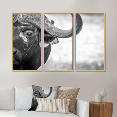 Portrait monochrome de Buffalo III - reproduction de cadre photo sur toile 3 pièces