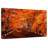 Alvord Kawaguchiko Autumn Trees-108951048