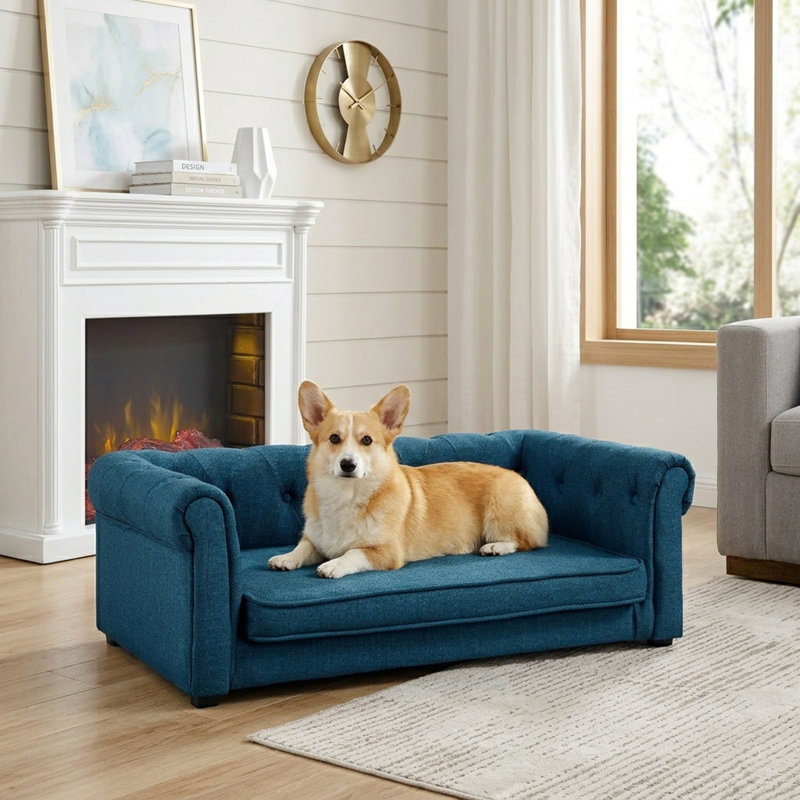 Sofa rectangulaire pour animaux de compagnie avec dossier et accoudoirs, Bleu