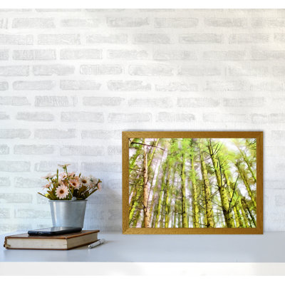 Woodland - Print on Canvas