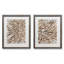 Barnwood Bloom I-ensemble de 2 reproductions d’art graphique encadrées sur papier