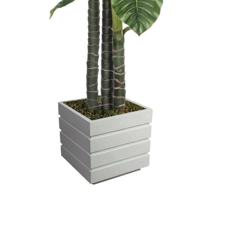 Éléphant artificiel en pot 78 po Panama, Blanc