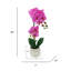 Arrangement floral orchidées phalaenopsis en pot-71650686-72117906