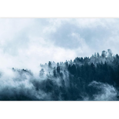 Forest Nature Landscape Peel & Stick Clear Border