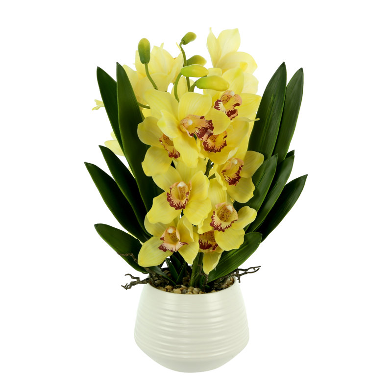 Orchid Arrangement with Rocks in a Ceramic Pot, Yellow