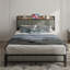 Talore 40.5'' Bed Frame-523881876-523881899