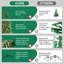 Arbre de Noël artificiel en PE et PVC de 4 pi, 856 pointes de branches réalistes, support en métal à charnières pour une installation facile, arbre de Noël vert pour la maison et le bureau-1534186525
