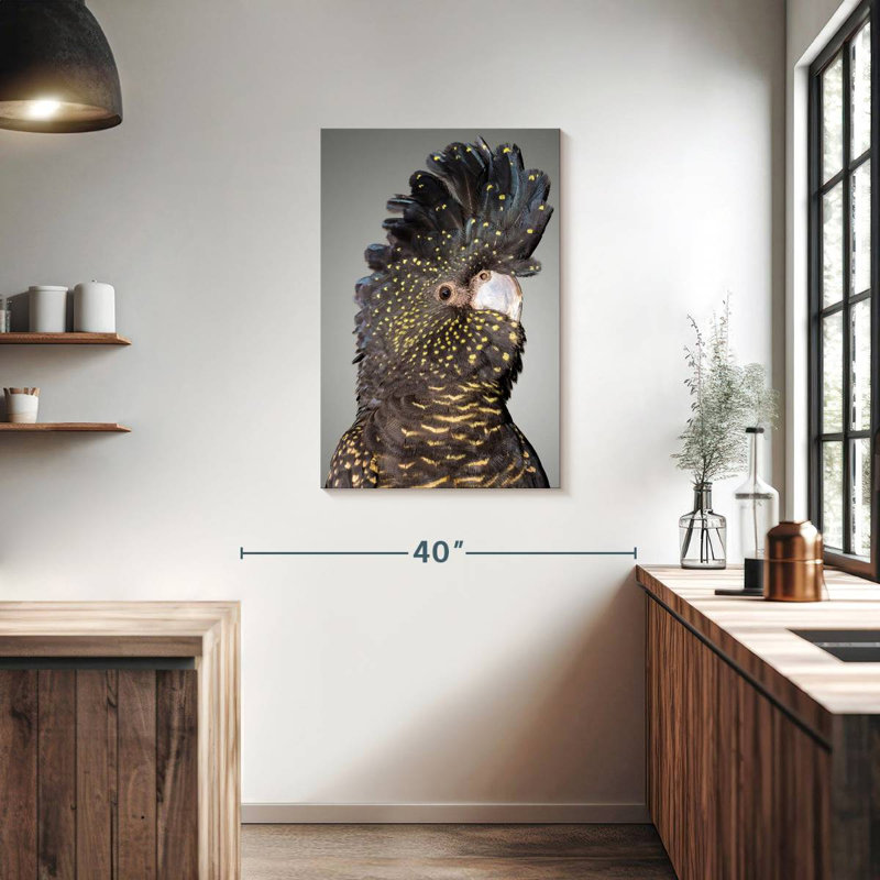 Brampt Black Cockatoo Head, 36" H x 24" W