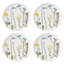 Wildflowers Accent Plates