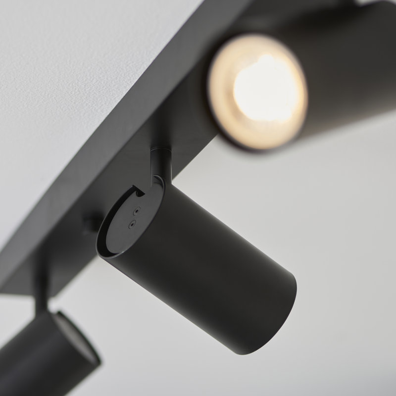 Rex Ceiling Spotlight