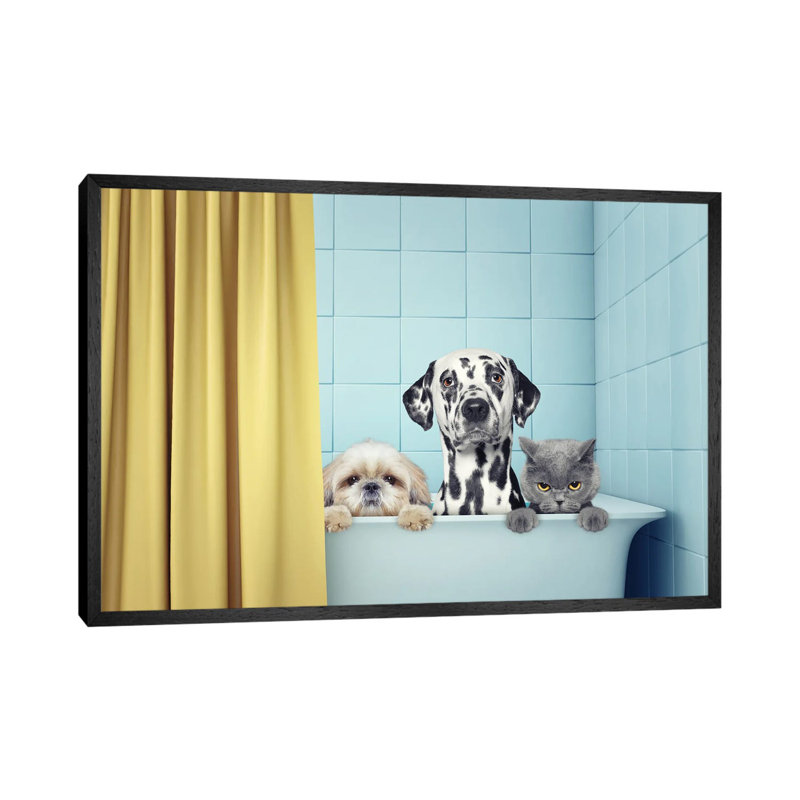 Two Dogs And Cat In The Bath by Helga1981 - Print on Canvas, 45.72cm H x 66.04cm W x 3.81cm D, Black Framed