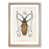 Oak Framed selected