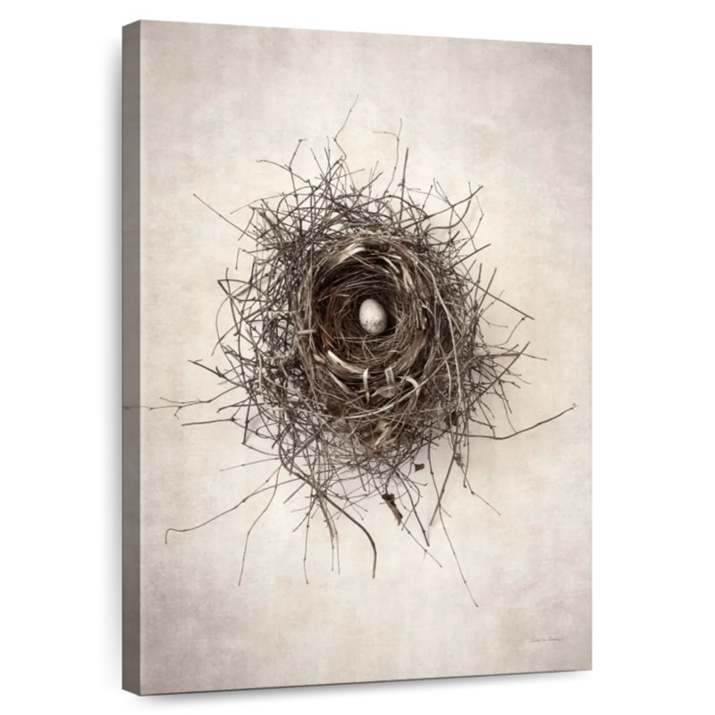 Brampt Nest, 36" H x 24" W