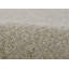 Area Rug in Beige-953072720