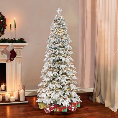 Flocked Slim Montville 7.5' Green/White Spruce Artificial Christmas Tree with 450 Clear/White Lights -  The Holiday Aisle®, B340F83F0AA74AD780CE5FB99CB9FE33