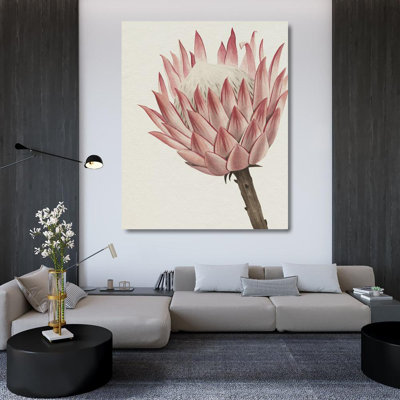 Art sur toile tendue avec Alcott Hill® Popp, Grace Gallery: Queen Protea II