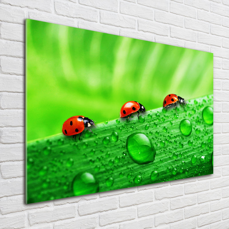 Ladybugs On The Grass - No Frame Print on Glass