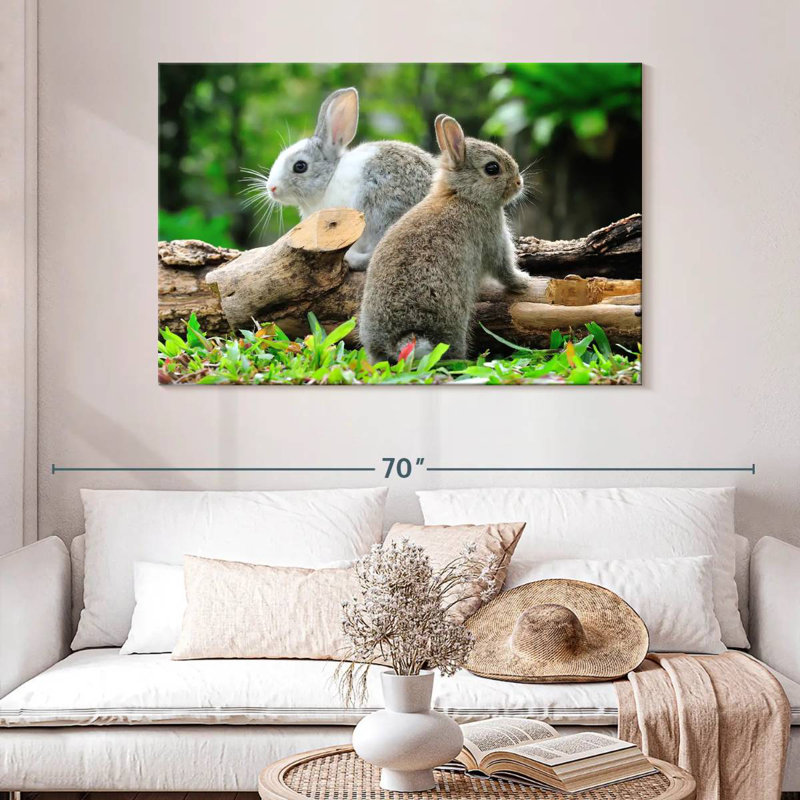 Lapins de jardin Brampt