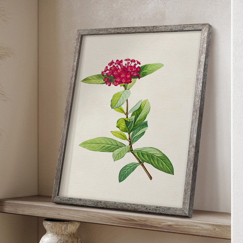Pretty Pink Botanicals II Framed Print - Solid Wood