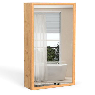 W H Medicine Cabinet Mirror