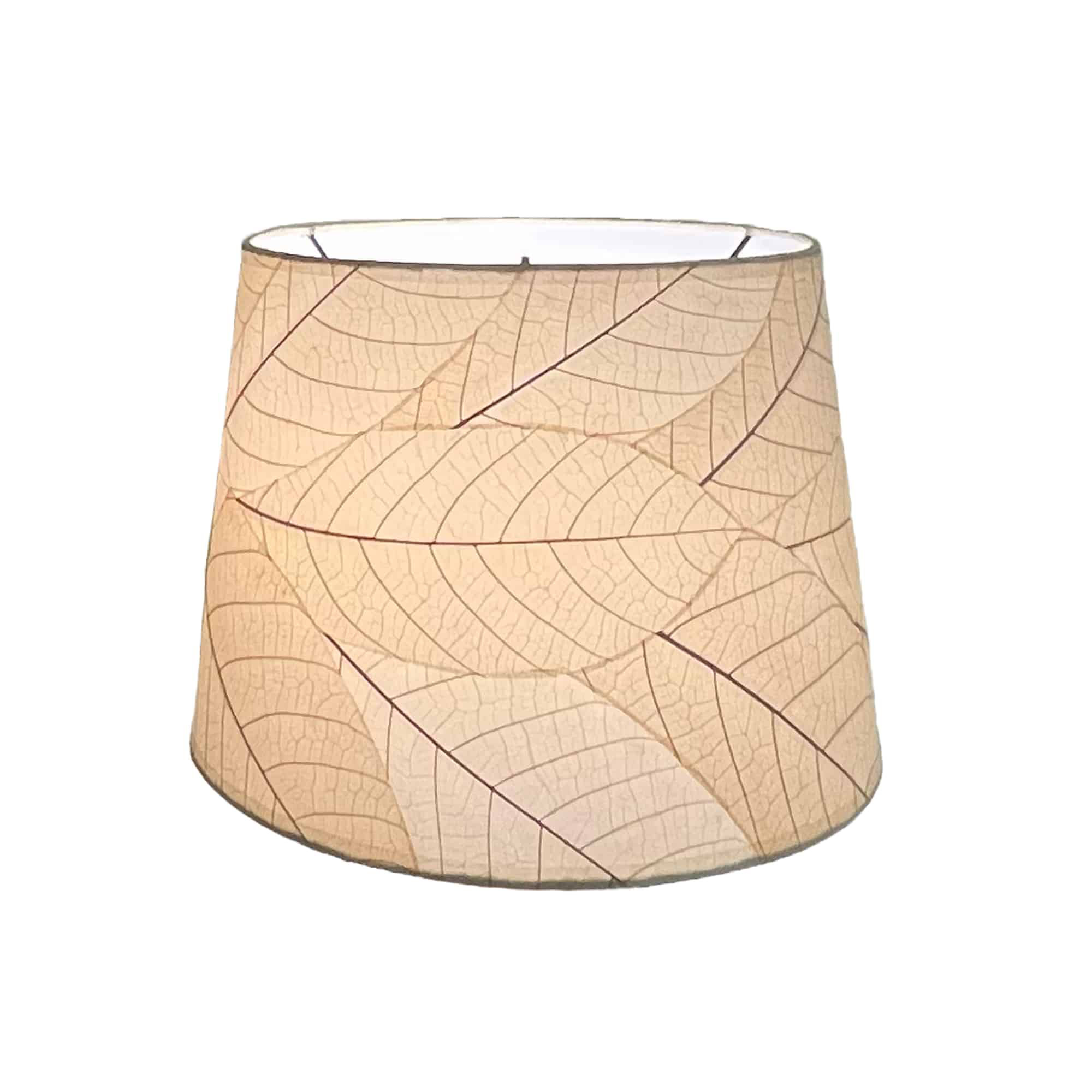 Bayou Breeze Paper Drum Lamp Shade ( Screw on ) in Peach Wayfair