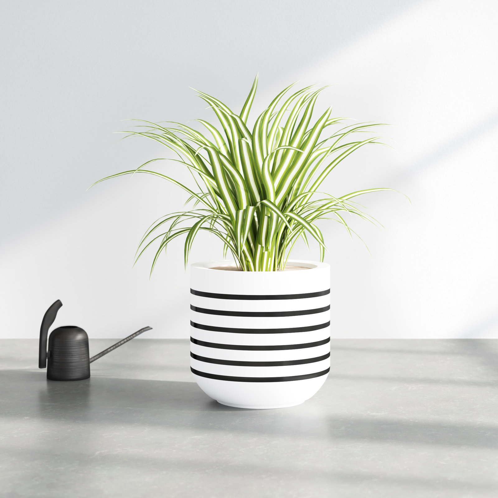 Hampden Handmade Clay Pot Planter