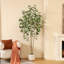 Faux ficus Agostino avec pot de fleurs rond blanc-1639527801