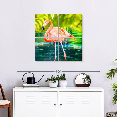 Flamant rose patauger dans l'eau